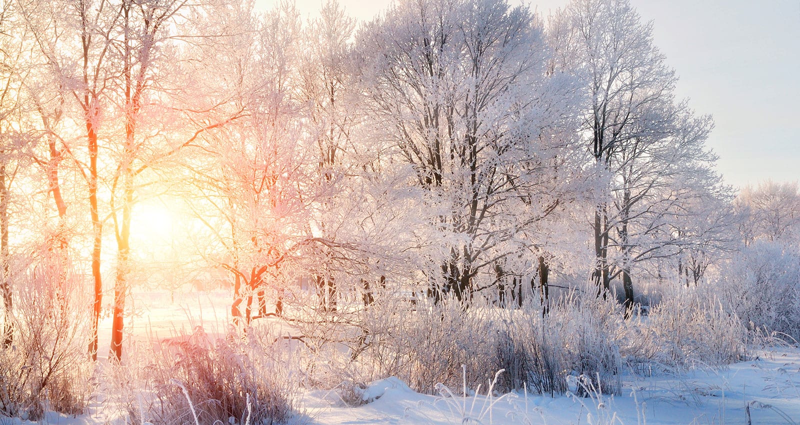 Winter Classes Begin