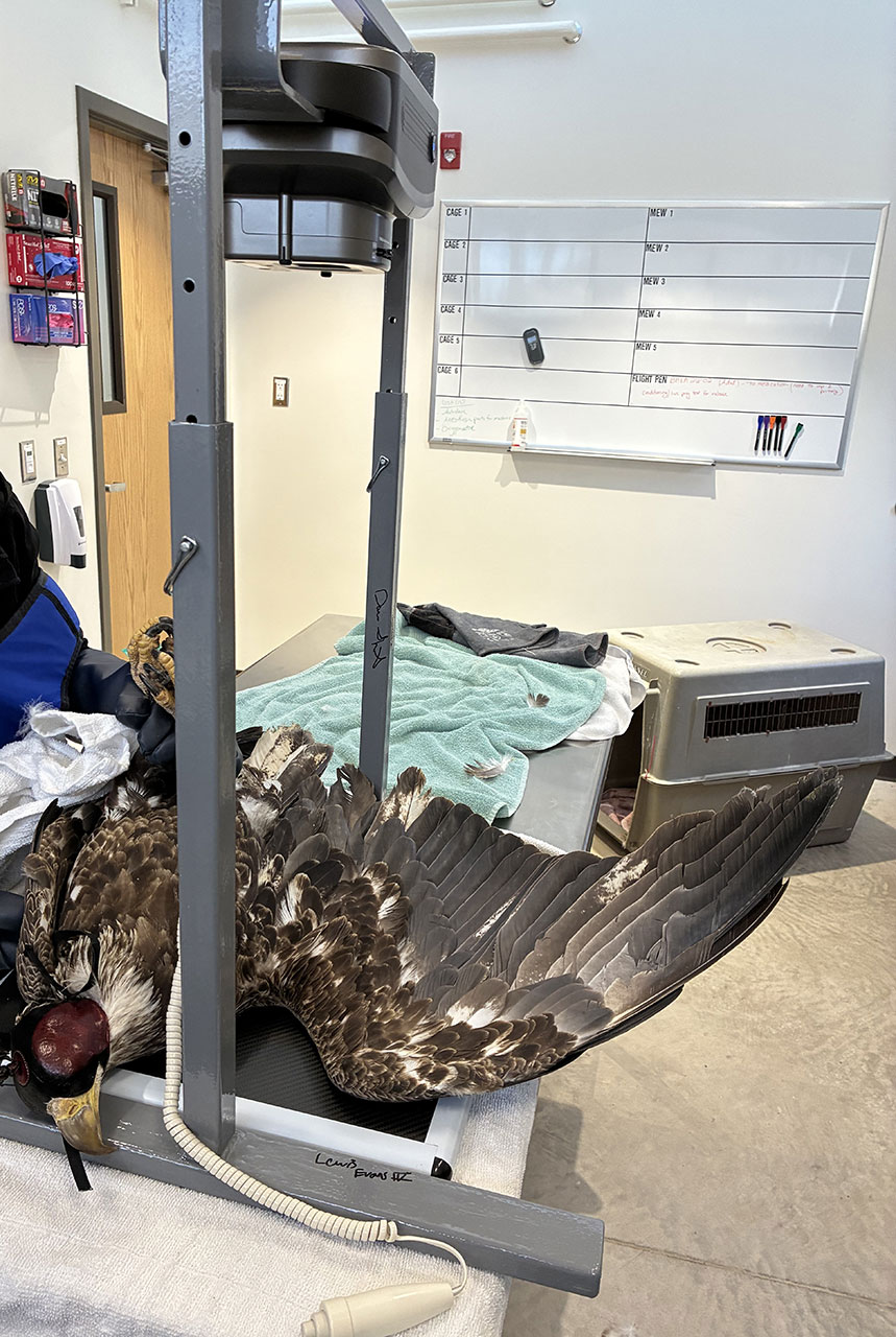 Highly specialized portable x-ray machine frame Highly specialized portable x-ray machine frame
