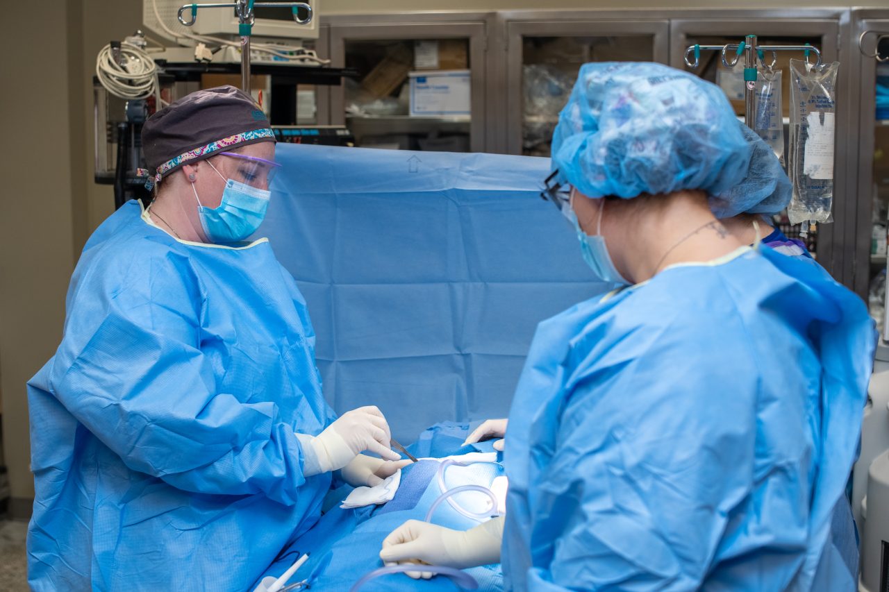 Surgical Technology 1