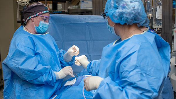 Health Sciences